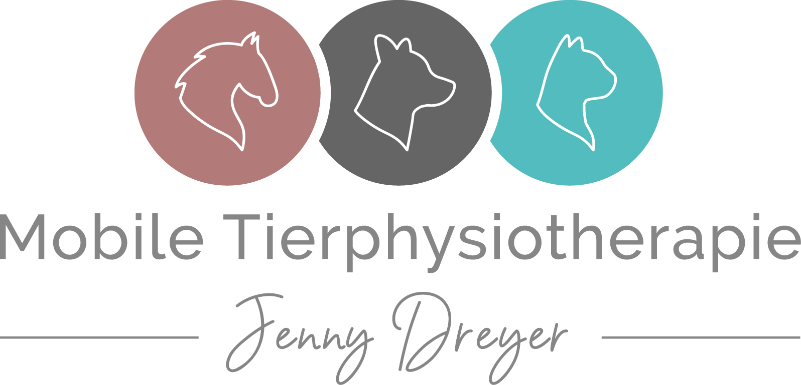 Tierphysiotherapie – Jenny Dreyer